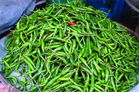 কাঁচামরিচের কেজি ১৩০ টাকা