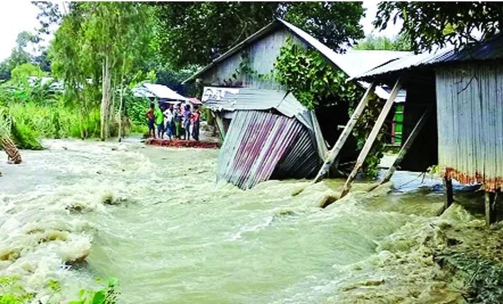 আমনের বড় ক্ষতির শঙ্কা