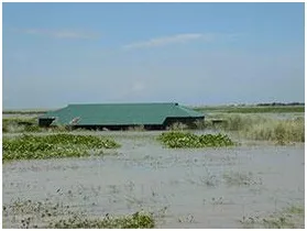 ‘সবার ঘর ভাঙিছে কই উঠুম’