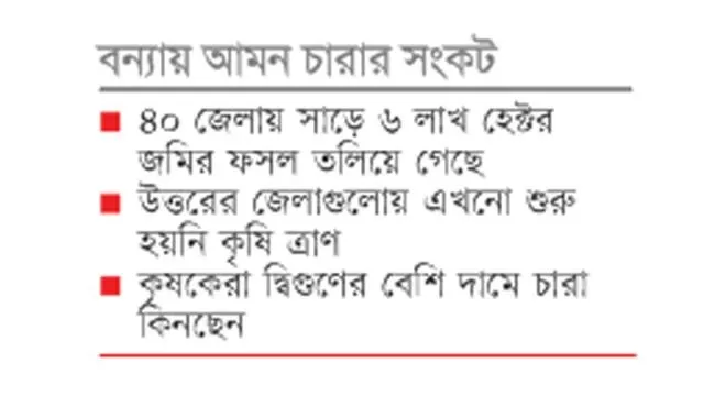 বন্যায় আমন চারার সংকট