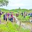 আশ্রয়হীন রোহিঙ্গাদের ওপর বিজিপির গুলিবর্ষণ