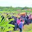আরাকানে চলছে নতুন মাত্রায় বর্বরতা
