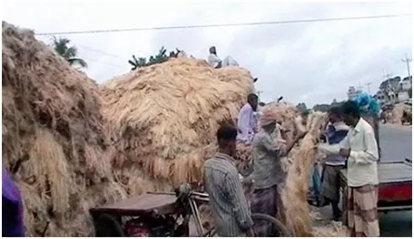 ন্যায্য মূল্য না পেয়ে হতাশ কৃষক