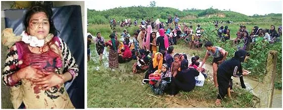 প্রাণ বাঁচাতে পলায়নরত রোহিঙ্গাদের নির্বিচারে গুলী করে হত্যা