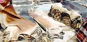 চামড়ার দাম নিয়ে শঙ্কা