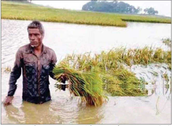 হাওরে বন্যার্তদের দুর্ভোগ
