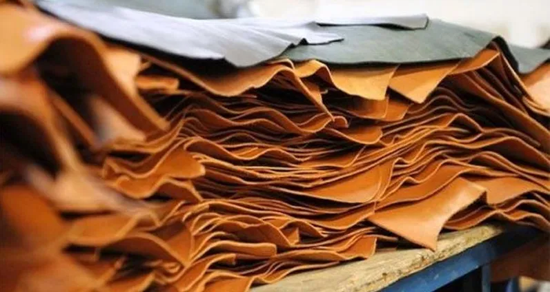 চামড়াশিল্পে বিপর্যয়ের শঙ্কা