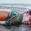 নাফ নদীর তীরে রোহিঙ্গা শিশুদের গুলীবিদ্ধ লাশ
