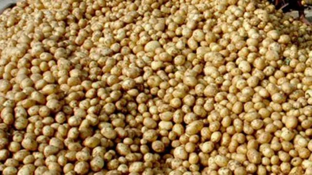 হিমাগারে আলু রেখে পালিয়ে বেড়াচ্ছেন কৃষক