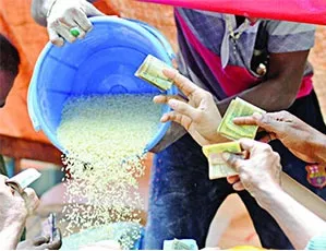 ওএমএসের চালে ‘ফাঙ্গাস’