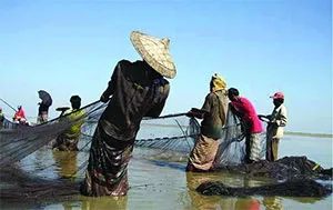 হাকালুকি হাওরে টোকেন বাণিজ্য!