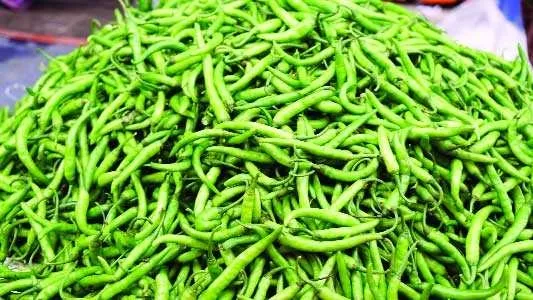 কাঁচামরিচের দামে ঝাল
