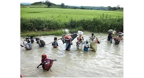 গণকবর থেকে রোহিঙ্গাদের লাশ সরাচ্ছে মগসেনারা