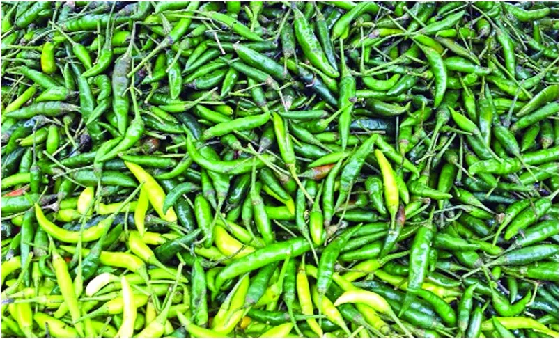 ২৬ টাকার মরিচ ঢাকায় ২০০!