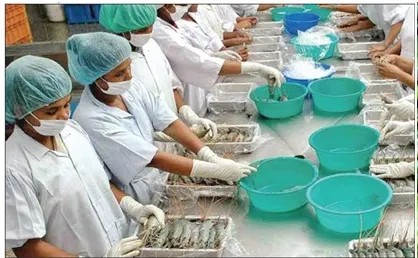 হুমকিতে চিংড়ি রফতানি