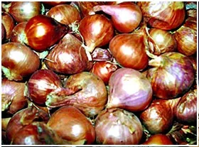 এবার বাড়লো পিয়াজের দাম