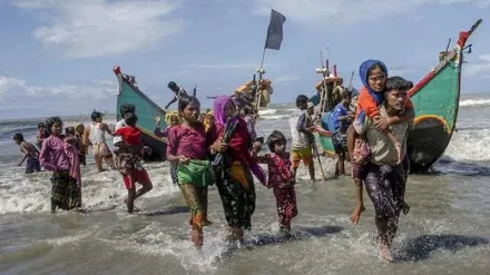 মিয়ানমারের সেনাবাহিনী শত শত রোহিঙ্গাকে হত্যা করেছে: অ্যামনেস্টি