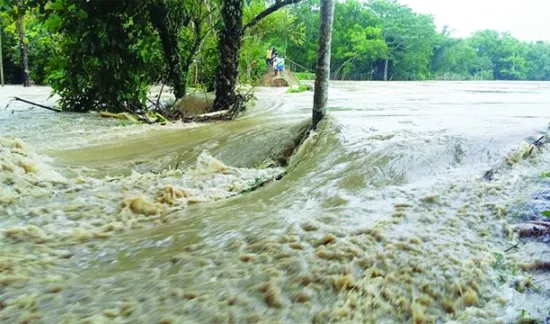পাউবোর গাফিলতিতে নদীভাঙন হাজার হাজার কৃষকের মাথায় হাতঝুঁকিপূর্ণ মনু নদীর ৪০টি স্পট