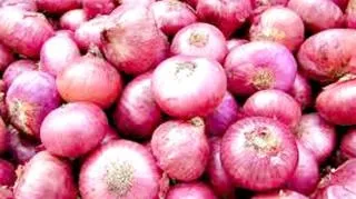 একটি পেঁয়াজের দাম এখন পাঁচ টাকা!