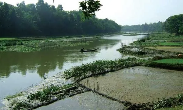 উপকূলের নদ-নদী অস্তিত্ব সঙ্কটে