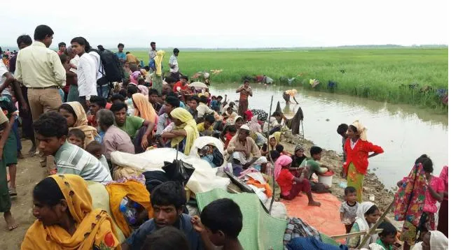 ২৯ হাজার রোহিঙ্গা এতিম শিশু শনাক্ত