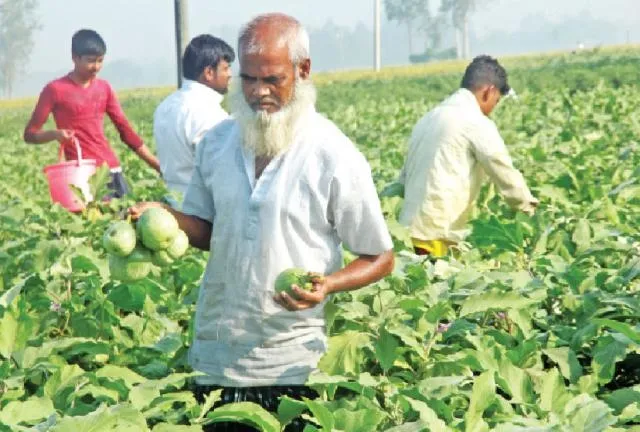 শীত আসছে, দাম বাড়ছে!