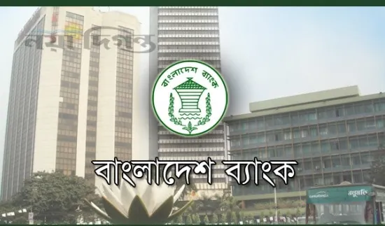 এত বিনিয়োগ যাচ্ছে কোথায়