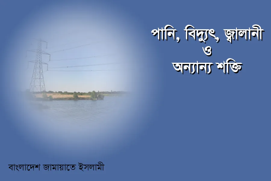 পানি, বিদ্যুৎ, জ্বালানী ও অন্যান্য শক্তি