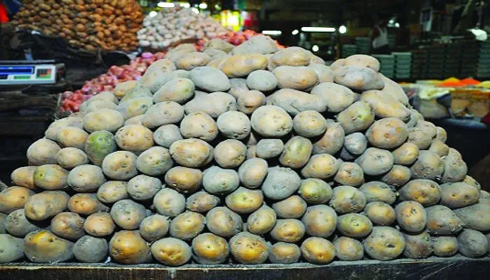 ১৫ লাখ টন পুরনো আলুর কী হবে