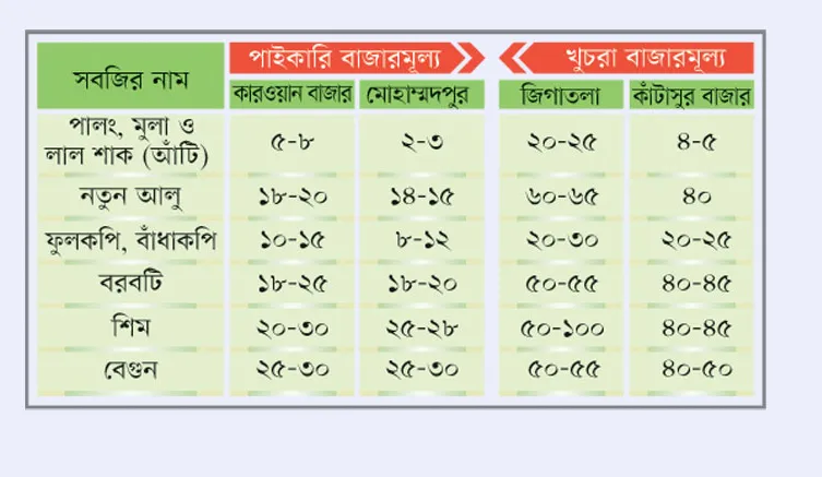 বাজারভেদে সবজির দাম আকাশ-পাতাল