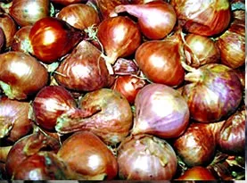 আরো বেড়েছে দেশি পিয়াজের দাম