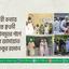 প্রলয়ঙ্করী বন্যায় ক্ষতিগ্রস্ত ক্বওমী মাদরাসাসমূহের পাশে আমীরে জামায়াত ডা. শফিকুর রহমান