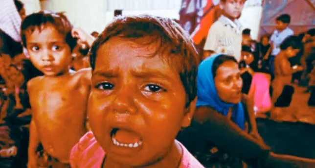 রোহিঙ্গাদের সুরক্ষায় জাতিসংঘে প্রস্তাব পাস