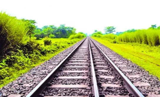 ৯৬ কোটি টাকা পরামর্শক খাতে