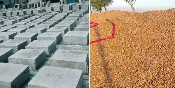 উপকূলীয় বেড়িবাঁধে ঘাপলা