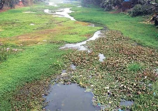 গঙ্গানির্ভর নদ-নদী মৃত্যুমুখে