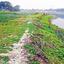 কোটি টাকার রাস্তা কাজে আসে না