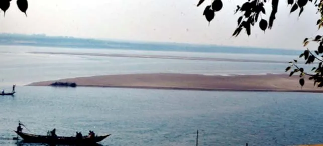 পদ্মায় জাগছে নিত্যনতুন চর