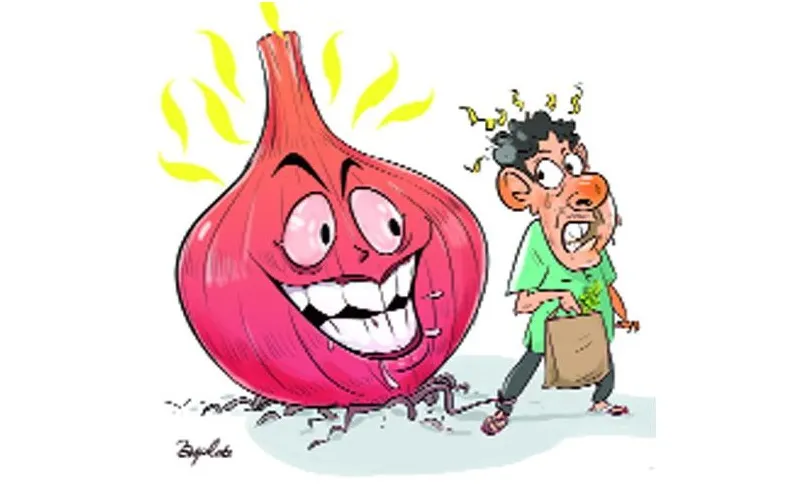 পেঁয়াজের দাম উল্টো বেড়েছে