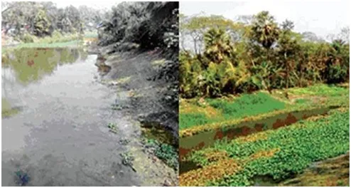 অস্তিত্ব সঙ্কটে খাল-বিল