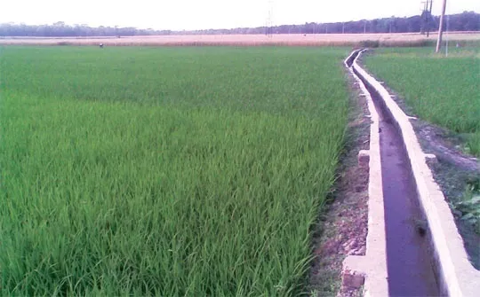 সেচ সঙ্কটেই দুর্ভাবনা