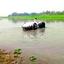 মাঘ-ফাল্গুনেই শুকিয়ে যাচ্ছে চলনবিলের ১৬ নদী