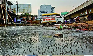 অকার্যকর মেগা সিটি