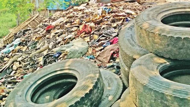 রাতদিন ২৪ ঘণ্টা মশার সঙ্গে বাস