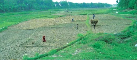 ভৈরব নদের আর্তনাদ