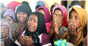 ‘ভাসানচরে রোহিঙ্গা পুনর্বাসনে দাতাদের সাহায্যের কোনো আশা নেই’