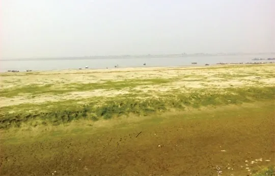 ভরাট হয়ে যাচ্ছে পদ্মা