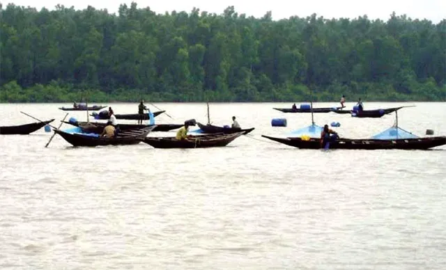 উপকূলীয় অঞ্চলের অভিযান সত্তেও চলছে রেণু আহরণ ও পোনা নিধন