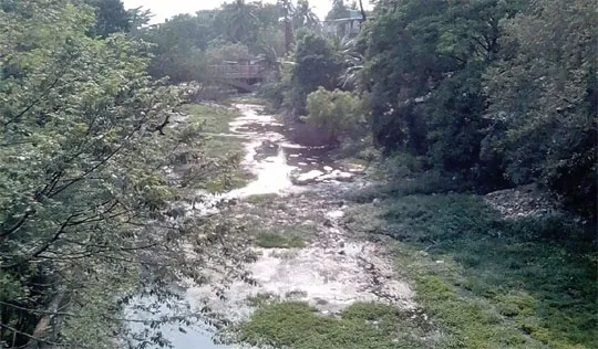 কেউ শোনে না ইছামতির কান্না!