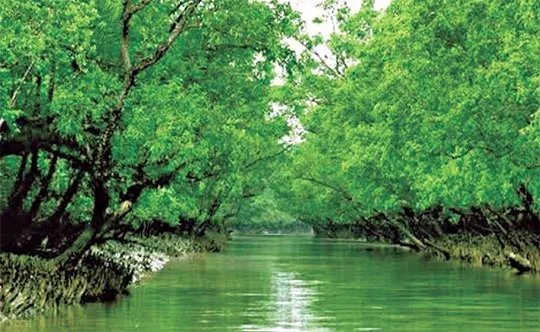 নদীতে বারবার জাহাজডুবি বিপর্যয়ের মুখে জীববৈচিত্র্য